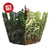 GhostBlind Predator 46" Blind - Summit Outdoors